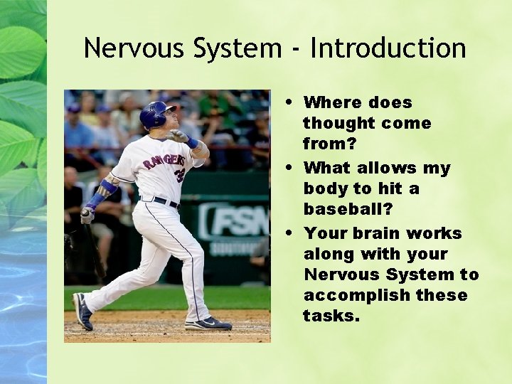 Nervous System - Introduction • Where does thought come from? • What allows my