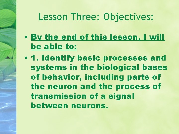 Lesson Three: Objectives: • By the end of this lesson, I will be able