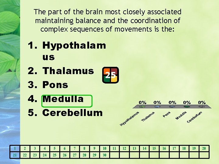 The part of the brain most closely associated maintaining balance and the coordination of