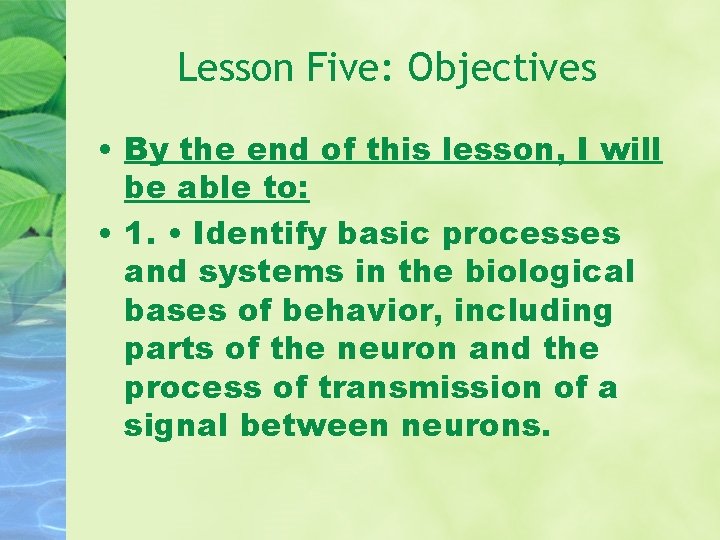 Lesson Five: Objectives • By the end of this lesson, I will be able