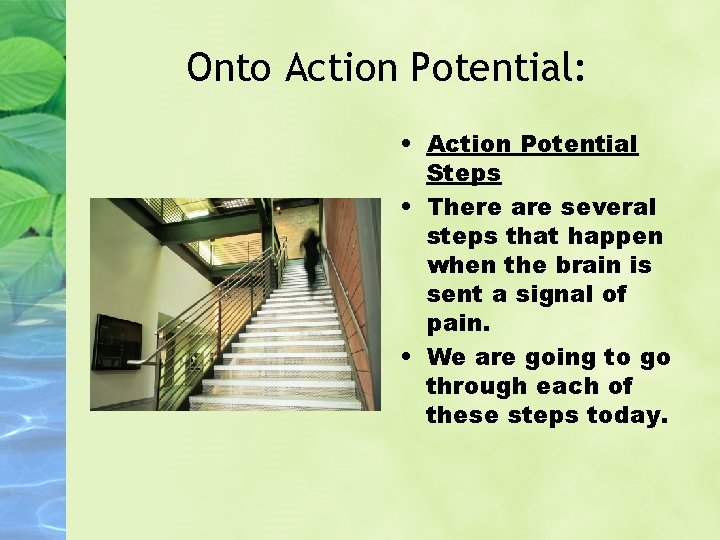 Onto Action Potential: • Action Potential Steps • There are several steps that happen