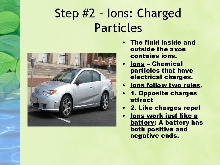 Step #2 – Ions: Charged Particles • The fluid inside and outside the axon