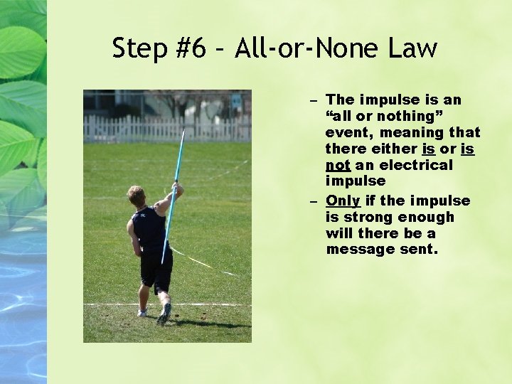 Step #6 – All-or-None Law – The impulse is an “all or nothing” event,