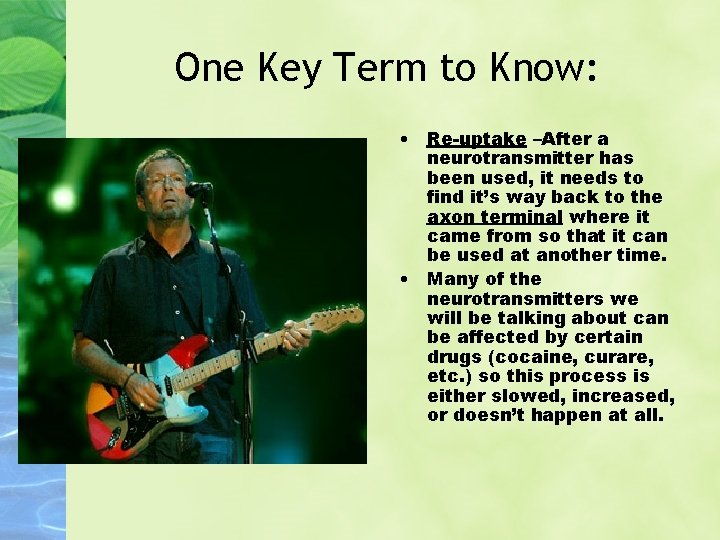 One Key Term to Know: • Re-uptake –After a neurotransmitter has been used, it