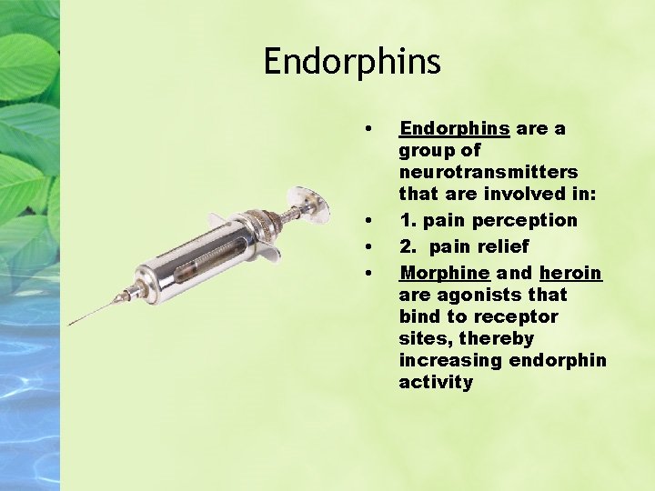 Endorphins • • Endorphins are a group of neurotransmitters that are involved in: 1.