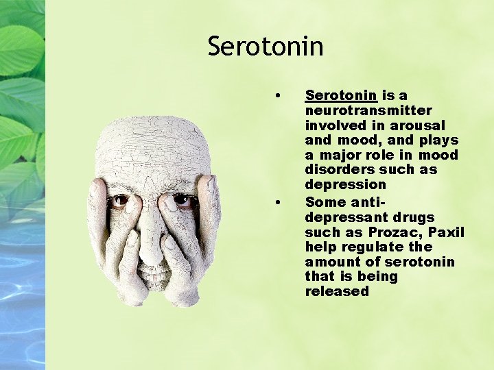 Serotonin • • Serotonin is a neurotransmitter involved in arousal and mood, and plays