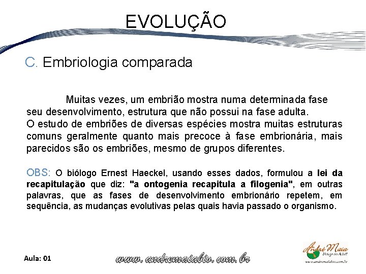 EVOLUÇÃO C. Embriologia comparada Muitas vezes, um embrião mostra numa determinada fase seu desenvolvimento,