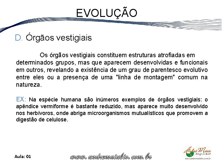 EVOLUÇÃO D. Órgãos vestigiais Os órgãos vestigiais constituem estruturas atrofiadas em determinados grupos, mas