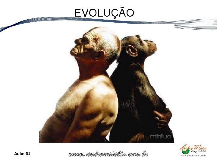 EVOLUÇÃO Aula: 01 