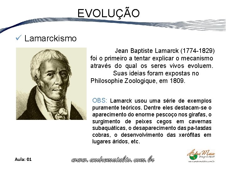EVOLUÇÃO ü Lamarckismo Jean Baptiste Lamarck (1774 1829) foi o primeiro a tentar explicar