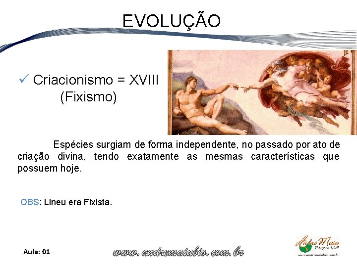 EVOLUÇÃO ü Criacionismo = XVIII (Fixismo) Espécies surgiam de forma independente, no passado por