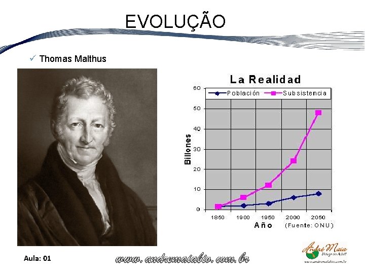 EVOLUÇÃO ü Thomas Malthus Aula: 01 