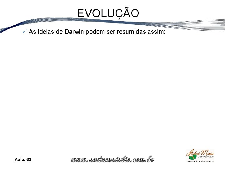 EVOLUÇÃO ü As ideias de Darwin podem ser resumidas assim: Aula: 01 