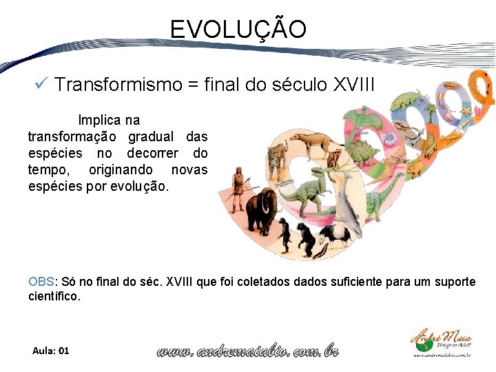 EVOLUÇÃO ü Transformismo = final do século XVIII Implica na transformação gradual das espécies