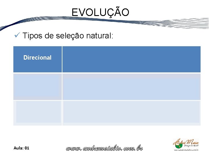 EVOLUÇÃO ü Tipos de seleção natural: Direcional Estabilizadora ou Normalizadora Neste caso, as condições