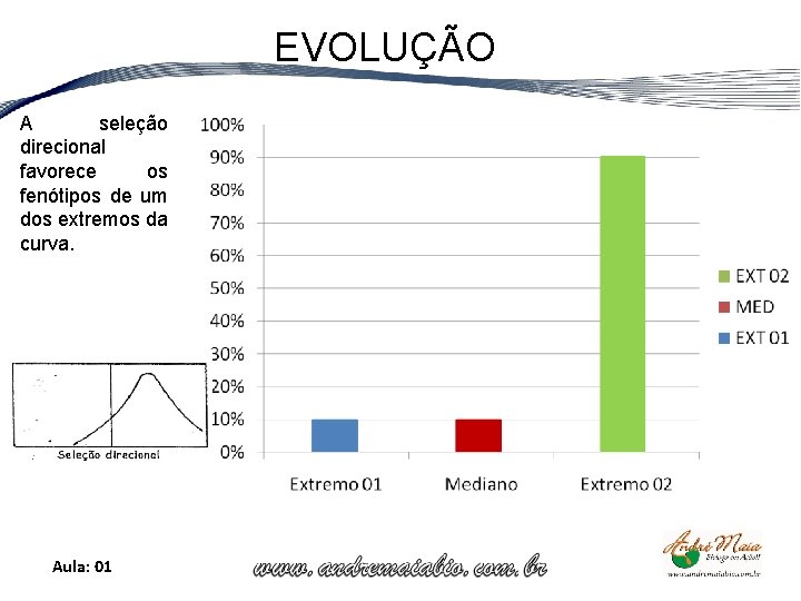 EVOLUÇÃO A seleção direcional favorece os fenótipos de um dos extremos da curva. Aula: