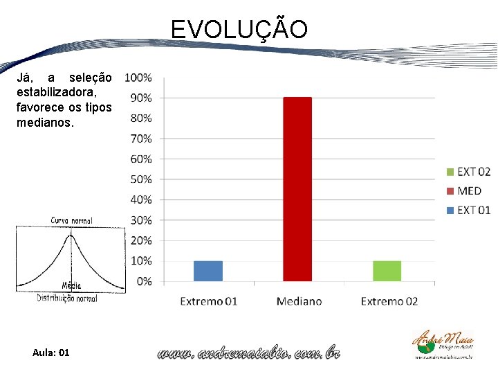 EVOLUÇÃO Já, a seleção estabilizadora, favorece os tipos medianos. Aula: 01 