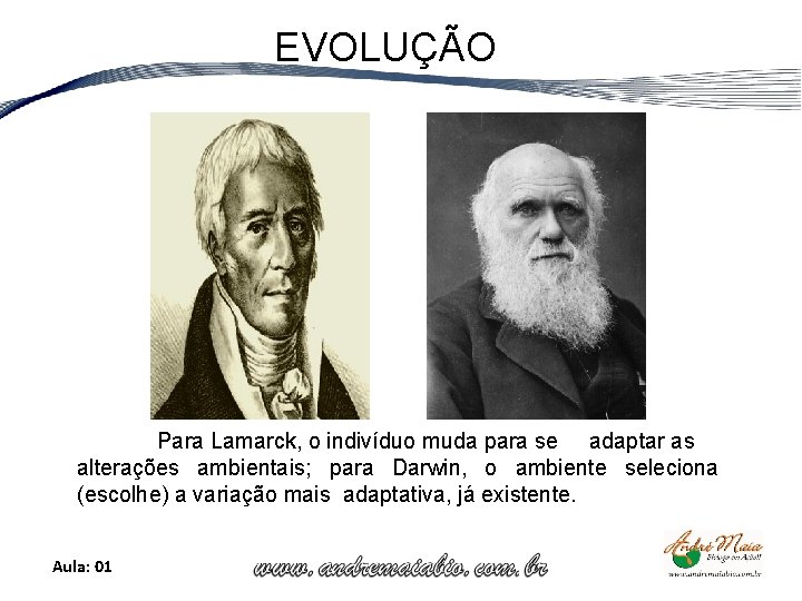 EVOLUÇÃO Para Lamarck, o indivíduo muda para se adaptar as alterações ambientais; para Darwin,