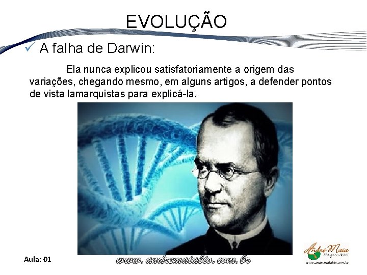 EVOLUÇÃO ü A falha de Darwin: Ela nunca explicou satisfatoriamente a origem das variações,