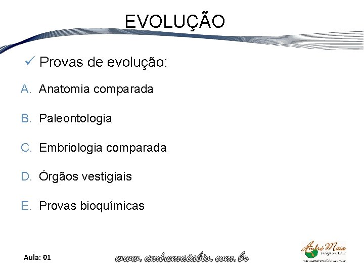 EVOLUÇÃO ü Provas de evolução: A. Anatomia comparada B. Paleontologia C. Embriologia comparada D.