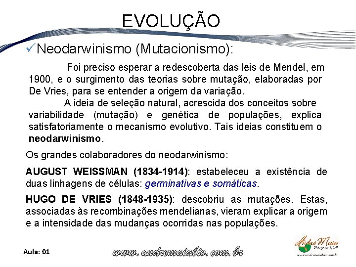 EVOLUÇÃO üNeodarwinismo (Mutacionismo): Foi preciso esperar a redescoberta das leis de Mendel, em 1900,