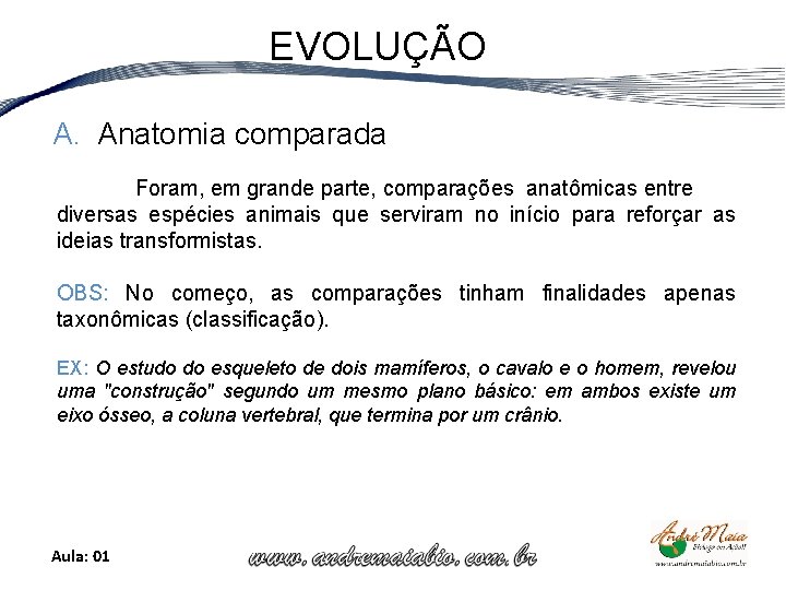 EVOLUÇÃO A. Anatomia comparada Foram, em grande parte, comparações anatômicas entre diversas espécies animais