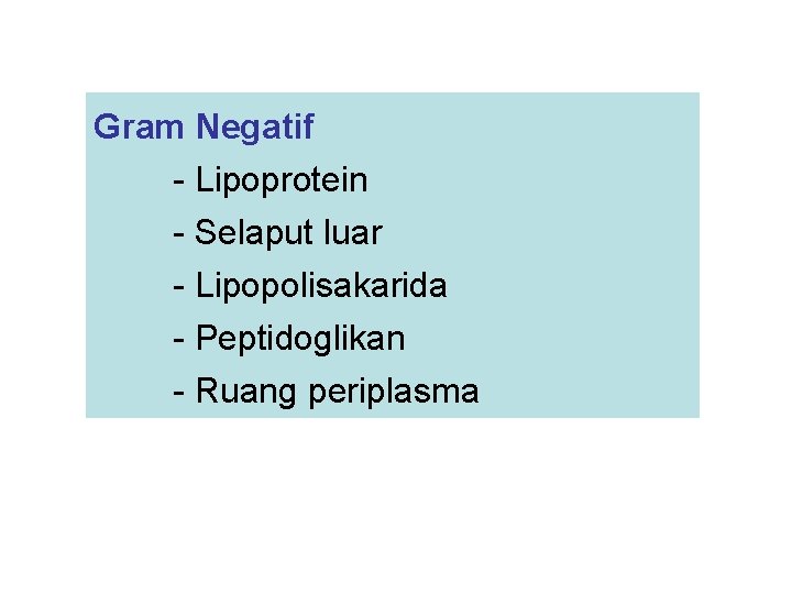 Gram Negatif - Lipoprotein - Selaput luar - Lipopolisakarida - Peptidoglikan - Ruang periplasma