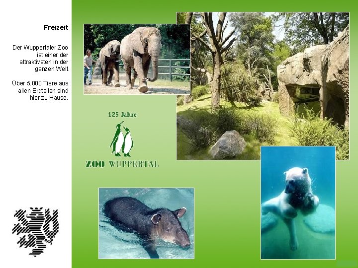 Freizeit Der Wuppertaler Zoo ist einer der attraktivsten in der ganzen Welt. Über 5.