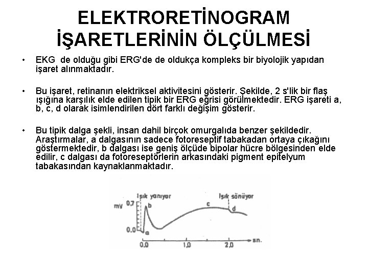 ELEKTRORETİNOGRAM İŞARETLERİNİN ÖLÇÜLMESİ • EKG de olduğu gibi ERG'de de oldukça kompleks bir biyolojik