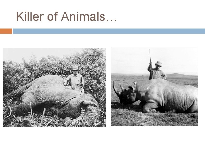 Killer of Animals… 