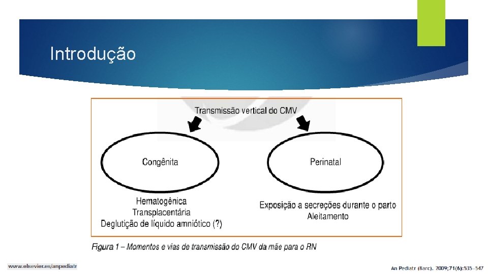 Introdução 