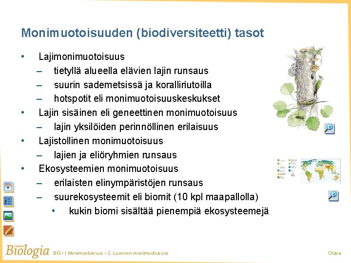 Monimuotoisuuden (biodiversiteetti) tasot • • Lajimonimuotoisuus – tietyllä alueella elävien lajin runsaus – suurin Monimuotoisuuden (biodiversiteetti) tasot • • Lajimonimuotoisuus – tietyllä alueella elävien lajin runsaus – suurin