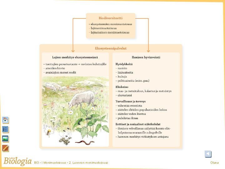 BI 3 • I Monimuotoisuus • 2. Luonnon monimuotoisuus Otava BI 3 • I Monimuotoisuus • 2. Luonnon monimuotoisuus Otava