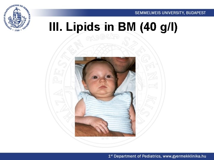 III. Lipids in BM (40 g/l) 