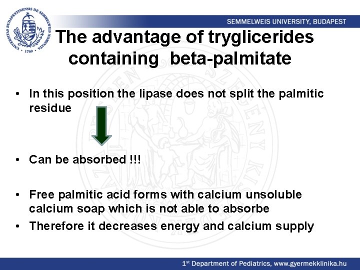 The advantage of tryglicerides containing beta-palmitate • In this position the lipase does not