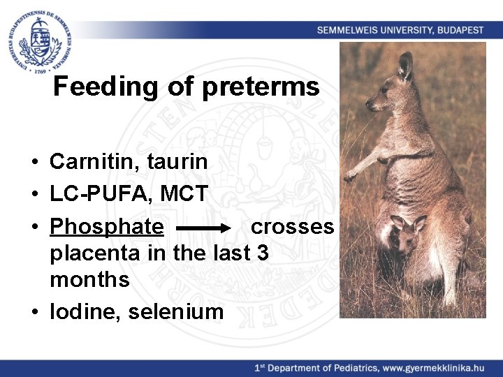 Feeding of preterms • Carnitin, taurin • LC-PUFA, MCT • Phosphate crosses placenta in