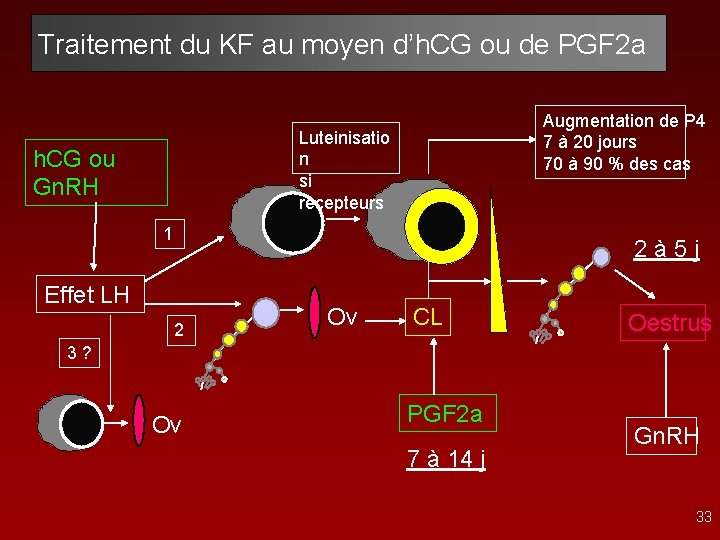 Traitement du KF au moyen d’h. CG ou de PGF 2 a Augmentation de