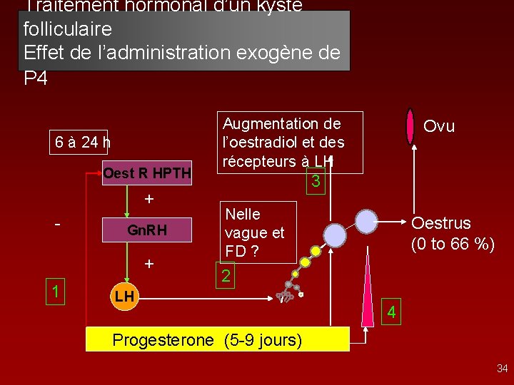 Traitement hormonal d’un kyste folliculaire Effet de l’administration exogène de P 4 6 à