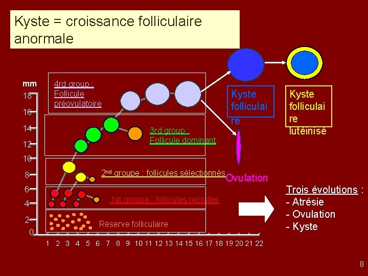 Kyste = croissance folliculaire anormale mm 18 16 14 12 4 rd group :