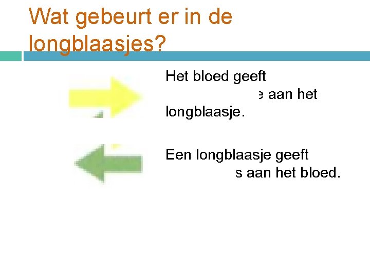 Wat gebeurt er in de longblaasjes? Het bloed geeft koolstofdioxide aan het longblaasje. Een