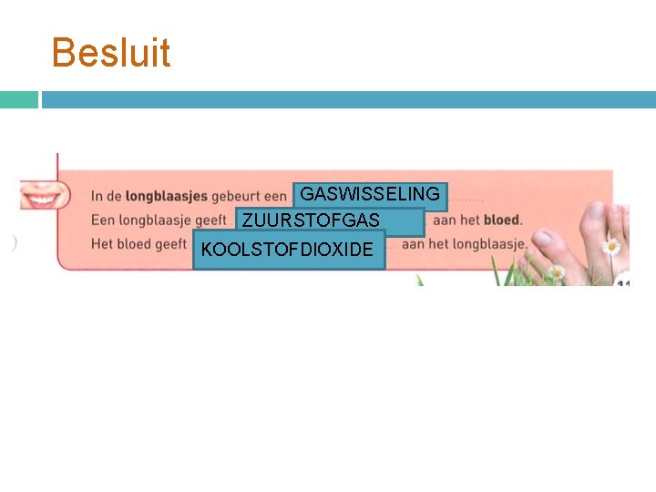 Besluit GASWISSELING ZUURSTOFGAS KOOLSTOFDIOXIDE 