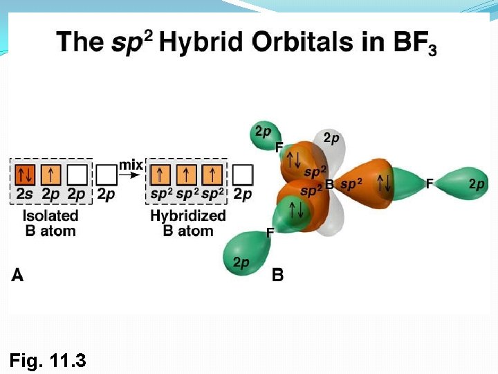 Fig. 11. 3 