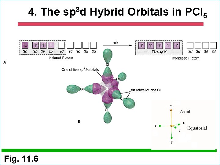 4. The sp 3 d Hybrid Orbitals in PCl 5 Fig. 11. 6 