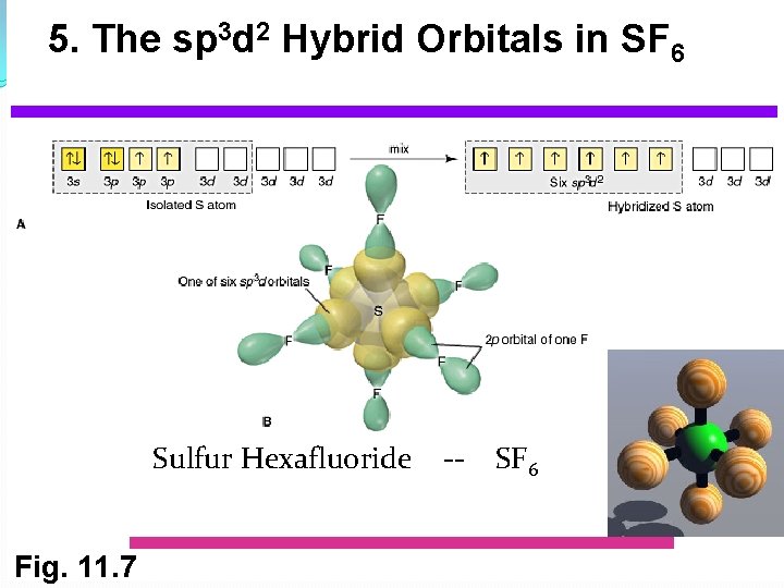 5. The sp 3 d 2 Hybrid Orbitals in SF 6 Sulfur Hexafluoride Fig.