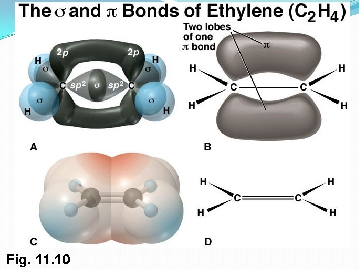 Fig. 11. 10 