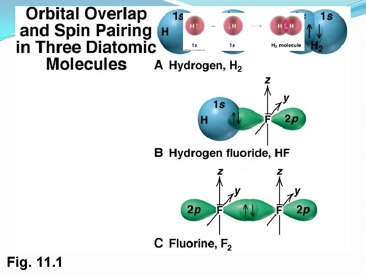 Fig. 11. 1 