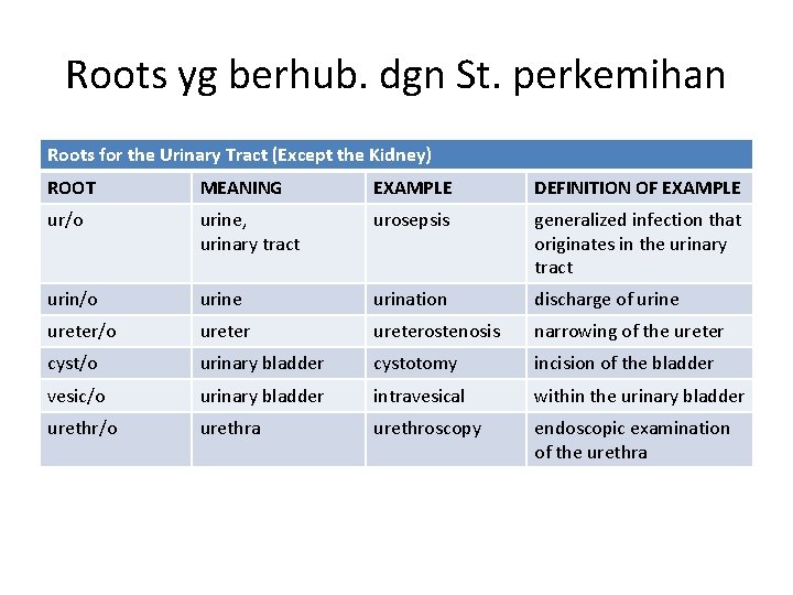 Roots yg berhub. dgn St. perkemihan Roots for the Urinary Tract (Except the Kidney)