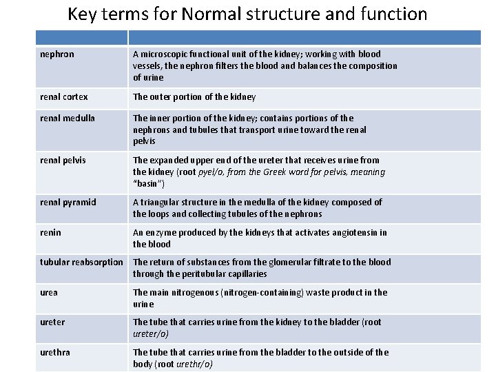 Key terms for Normal structure and function nephron A microscopic functional unit of the