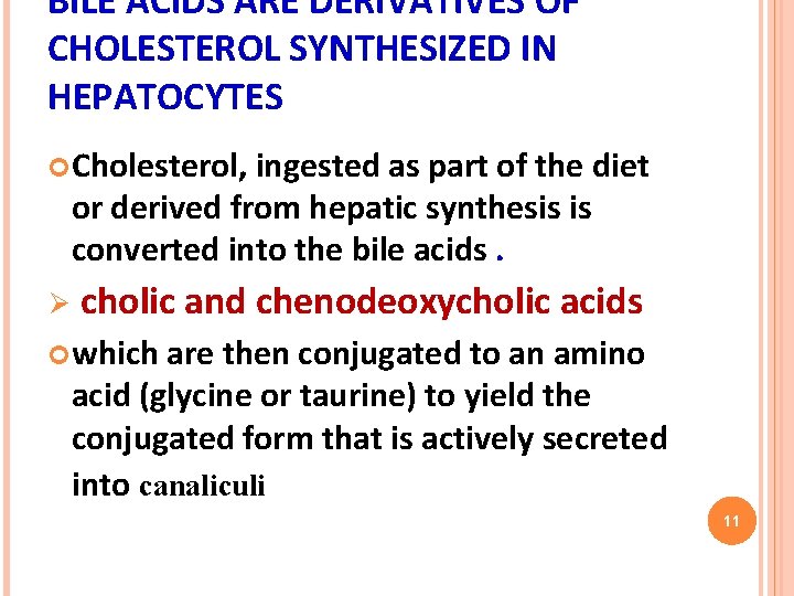BILE ACIDS ARE DERIVATIVES OF CHOLESTEROL SYNTHESIZED IN HEPATOCYTES Cholesterol, ingested as part of