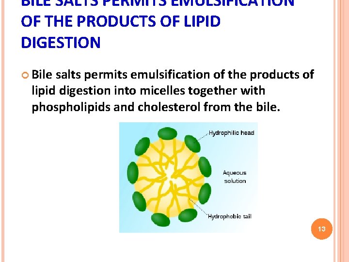 BILE SALTS PERMITS EMULSIFICATION OF THE PRODUCTS OF LIPID DIGESTION Bile salts permits emulsification